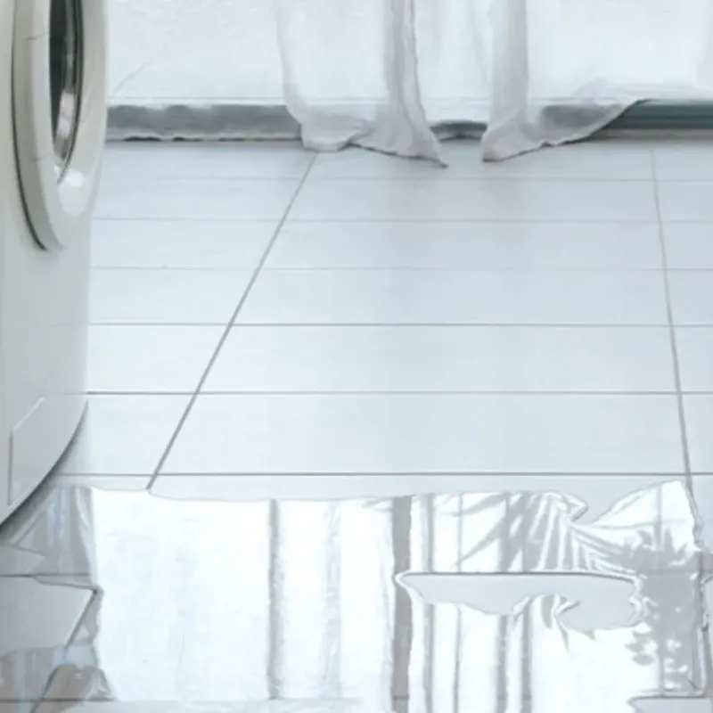Appliance Leak Cleanup in Sesser, IL
