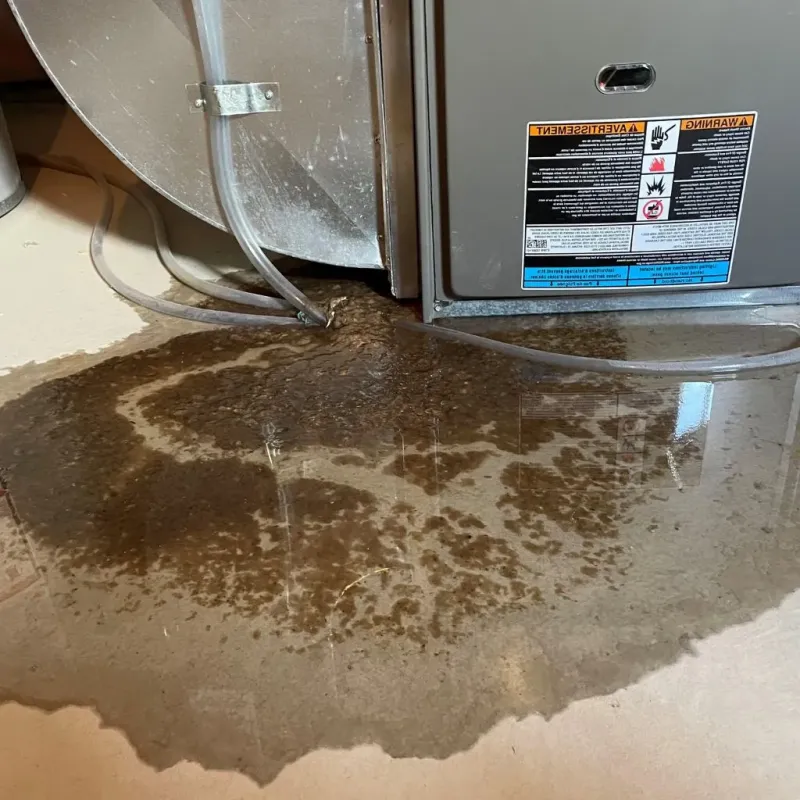 Pipe Burst and Leak Restoration in Sesser, IL