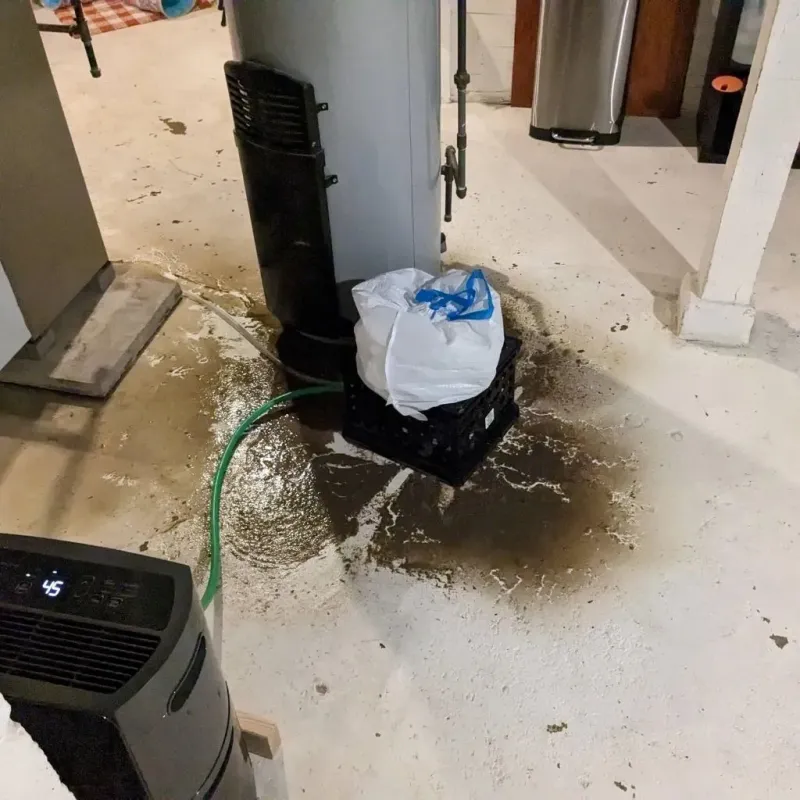 Sewage Backup Cleanup Service in Sesser, IL